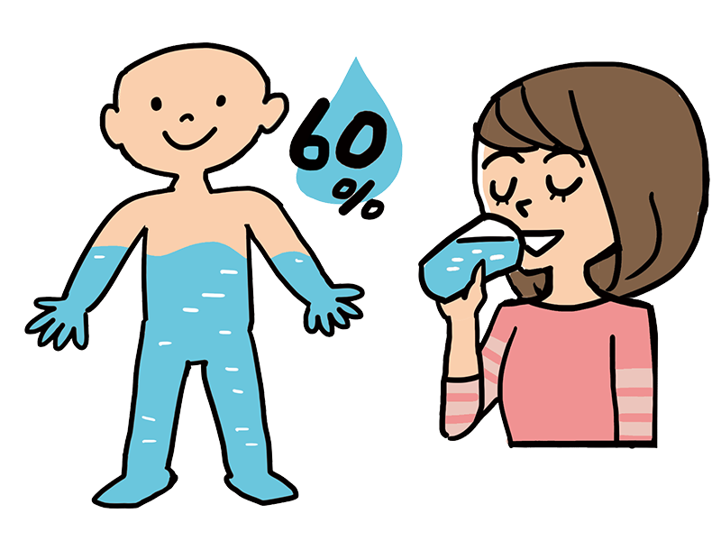 人間の体の60％は水分