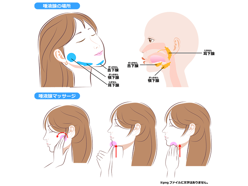 唾液腺マッサージ