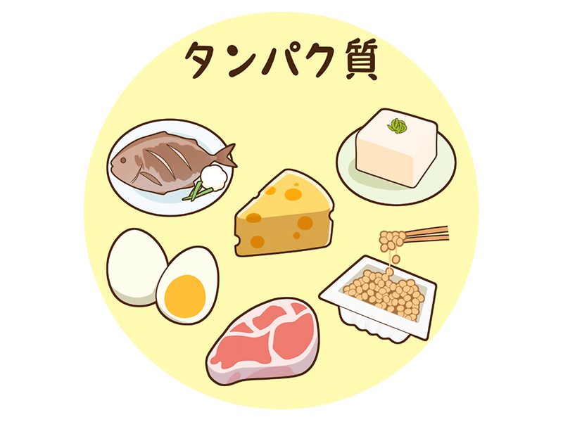 タンパク質