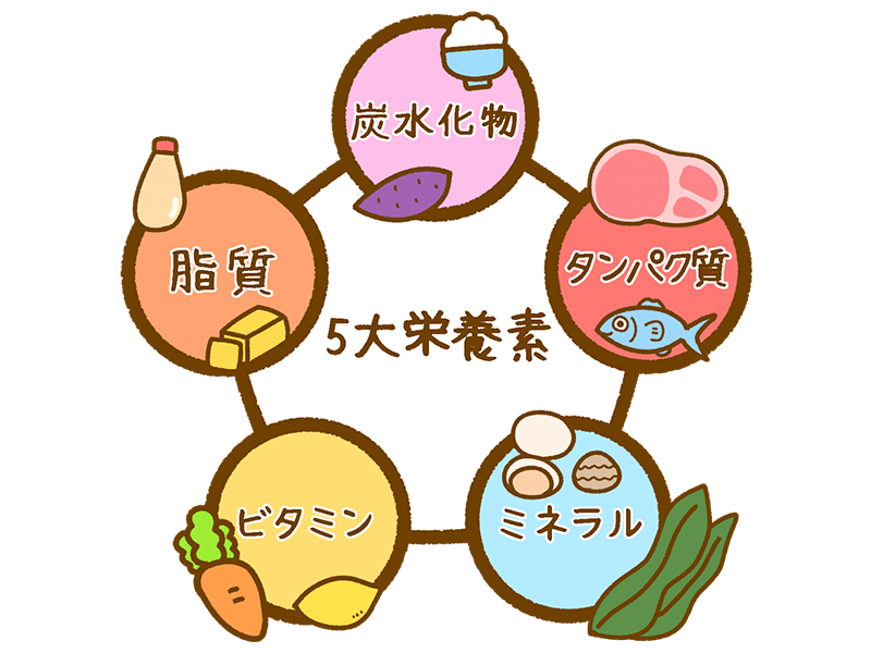 5大栄養素